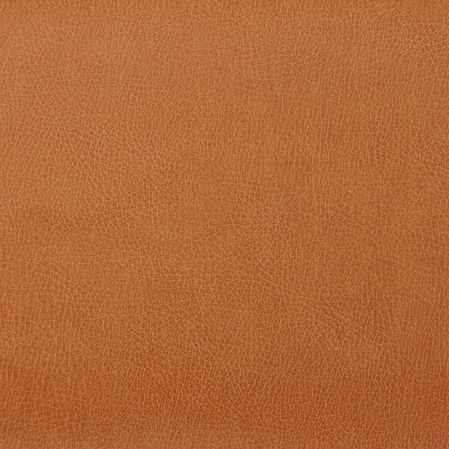 Kravet DESIGN CASWELL 12 Upholstery Fabric