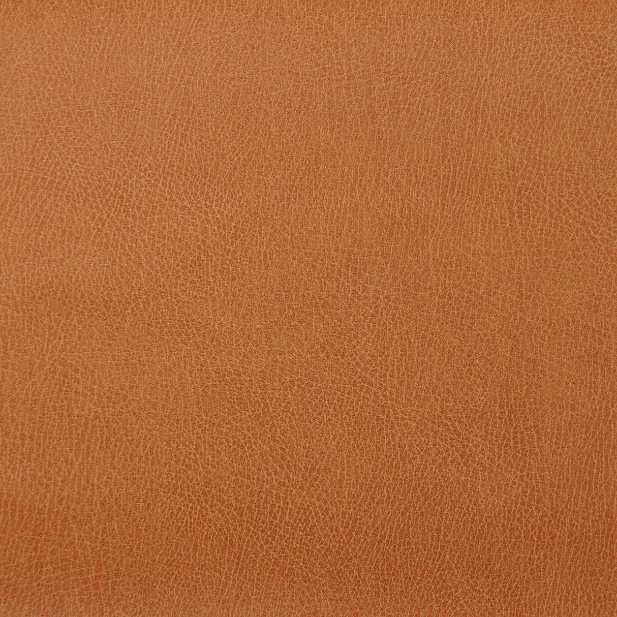 Kravet DESIGN CASWELL 12 Upholstery Fabric