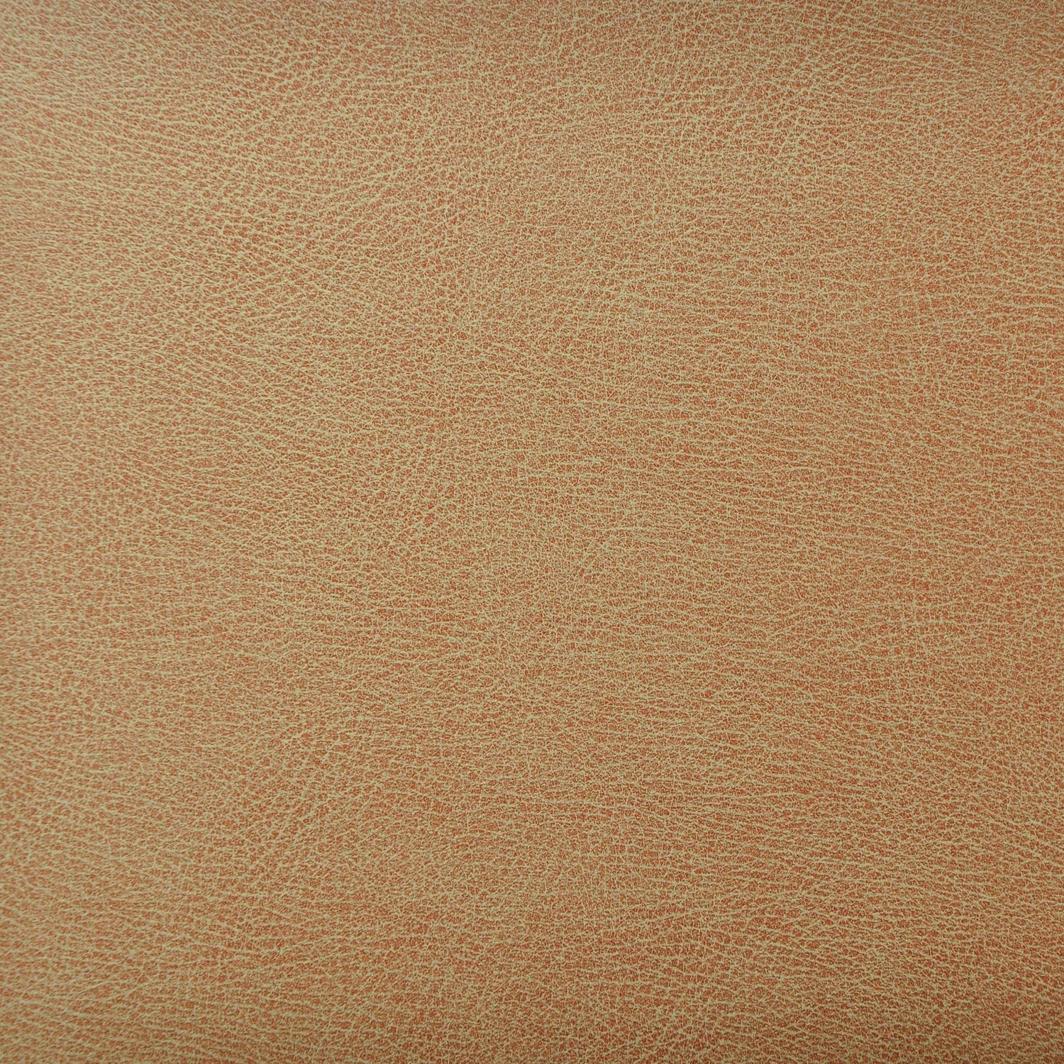 Kravet Design Caswell 6 Upholstery Fabric – DecoratorsBest
