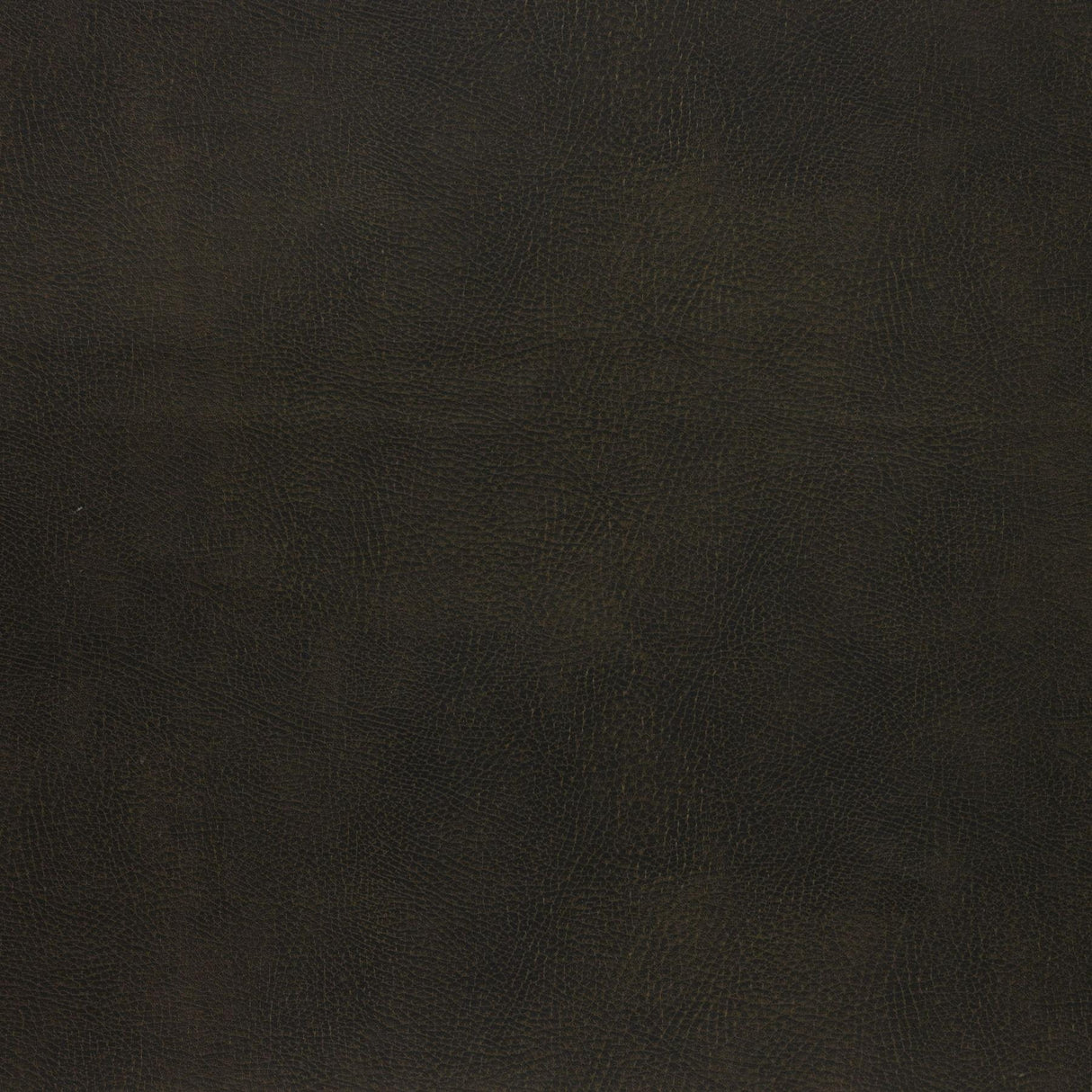 Kravet DESIGN CASWELL 66 Upholstery Fabric