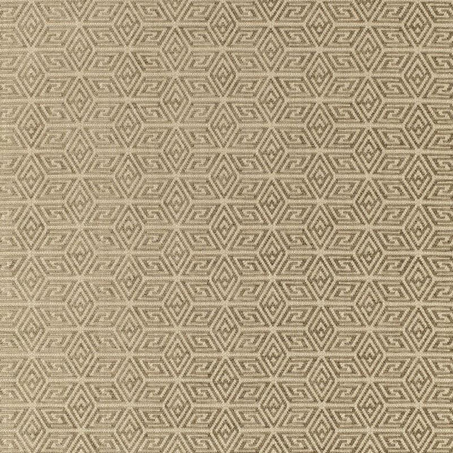 Schumacher Cosmati Chenille Chanterelle Fabric