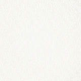 Schumacher Fernwood Sheer Naturel Fabric