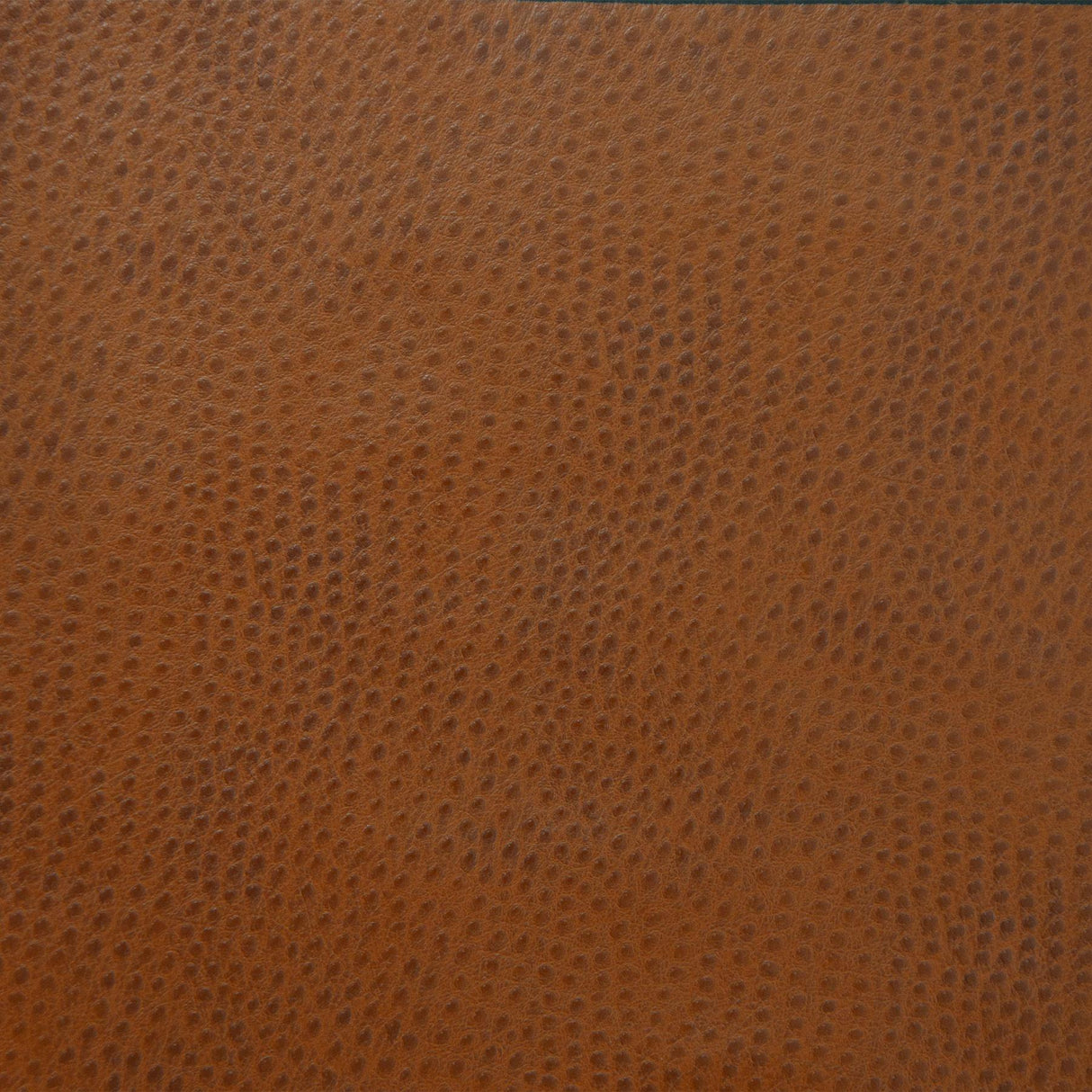 Kravet DESIGN DELANEY 6 Upholstery Fabric