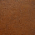 Kravet DESIGN DELANEY 6 Upholstery Fabric