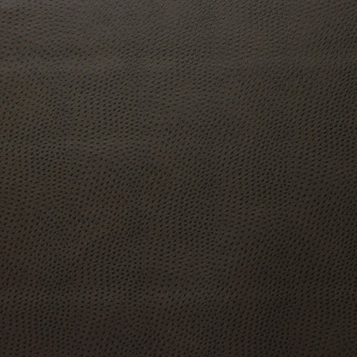 Kravet DESIGN DELANEY 616 Upholstery Fabric