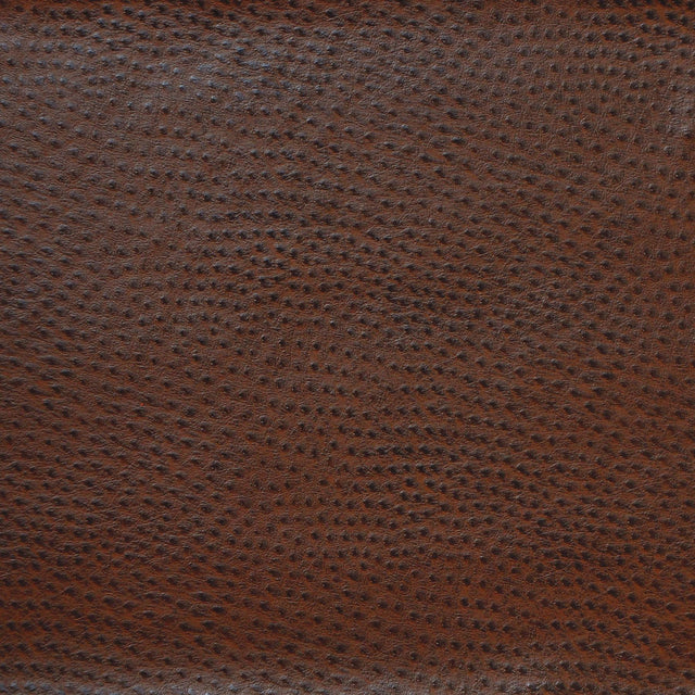 Kravet DESIGN DELANEY 66 Upholstery Fabric