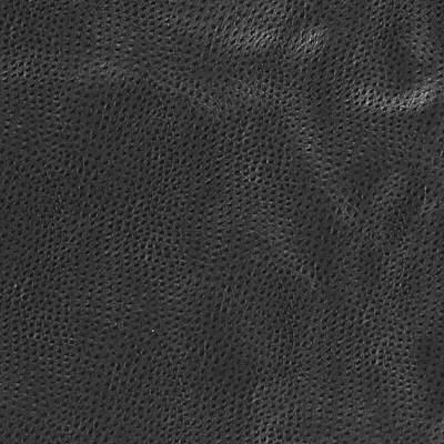 Kravet DESIGN DELANEY 8 Upholstery Fabric