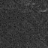 Kravet DESIGN DELANEY 8 Upholstery Fabric