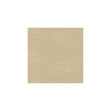 Kravet Wali Nomad Fabric