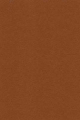 Kravet DESIGN DESIRE 606 Upholstery Fabric