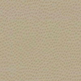 Kravet DEWDROPS SAND Upholstery Fabric