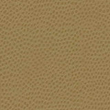 Kravet DESIGN DEWDROPS 4 Upholstery Fabric