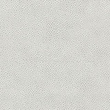 Kravet EDGY SHARK PLATINUM Upholstery Fabric