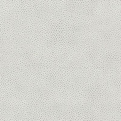 Kravet EDGY SHARK PLATINUM Upholstery Fabric