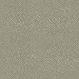 Kravet EDGY SHARK NICKEL Upholstery Fabric