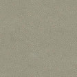 Kravet EDGY SHARK NICKEL Upholstery Fabric