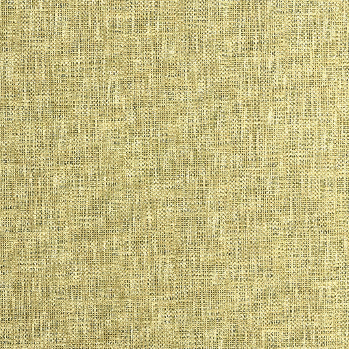 Kravet ETCHING GOLD Upholstery Fabric