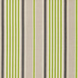 Schumacher Minzer Cotton Stripe Vert Fabric