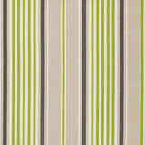 Schumacher Minzer Cotton Stripe Vert Fabric