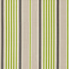 Schumacher Minzer Cotton Stripe Vert Fabric