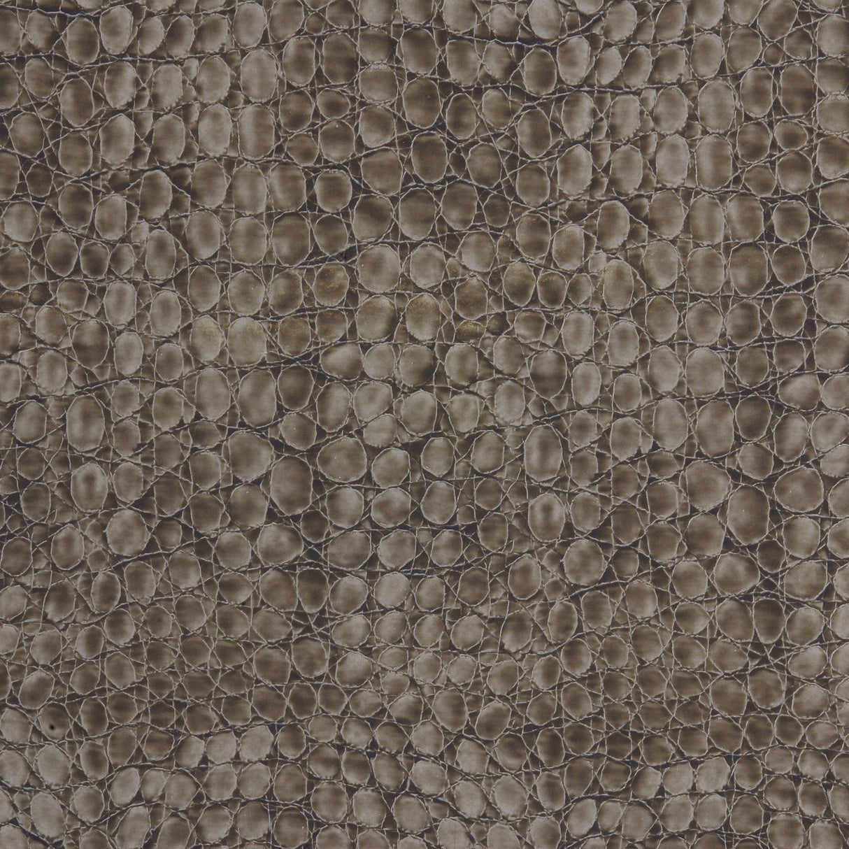 Kravet FAB FAUX DOVE Upholstery Fabric
