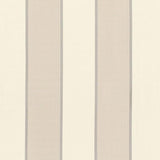 Schumacher Montebello Stripe Platinum Fabric