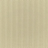 Schumacher Palazzo Chenille Gilt Fabric