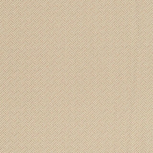 Schumacher Picard Weave Greige Fabric