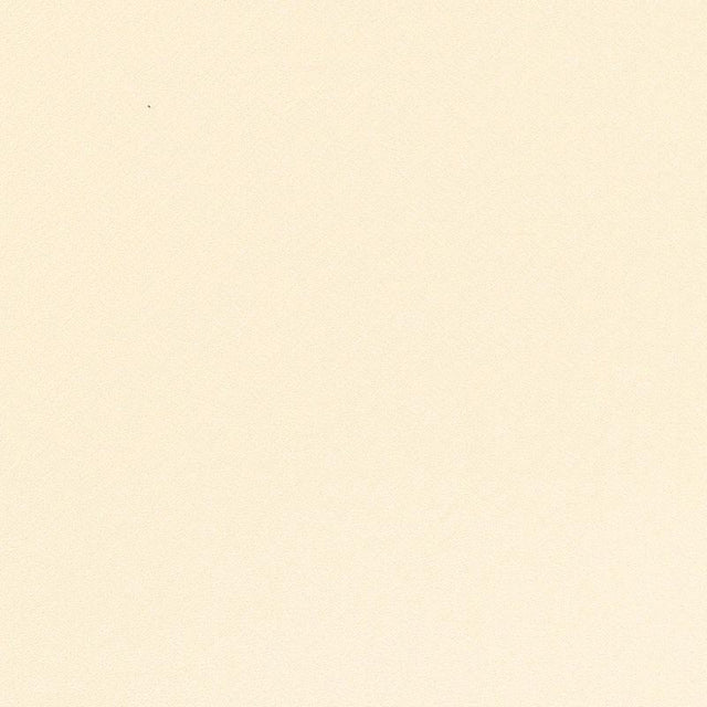 Schumacher Picard Weave Ivory Fabric