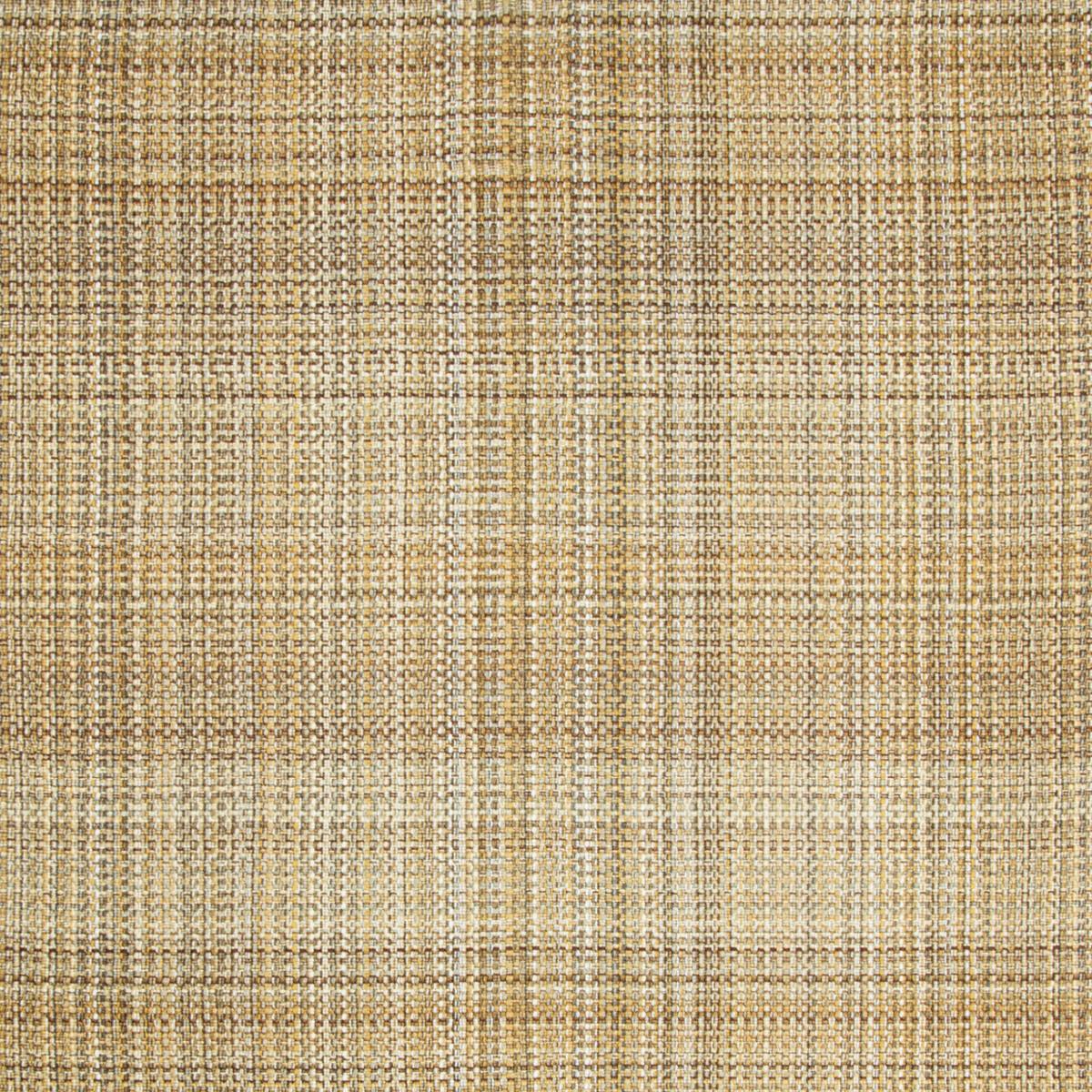 Kravet Tailor Made Honey Fabric