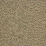 Kravet FORGETFUL STONE Upholstery Fabric