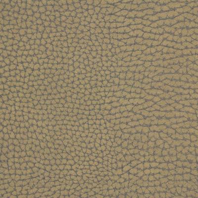 Kravet FORGETFUL STONE Upholstery Fabric