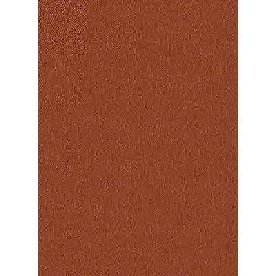 Kravet DESIGN FORTUNE 24 Upholstery Fabric
