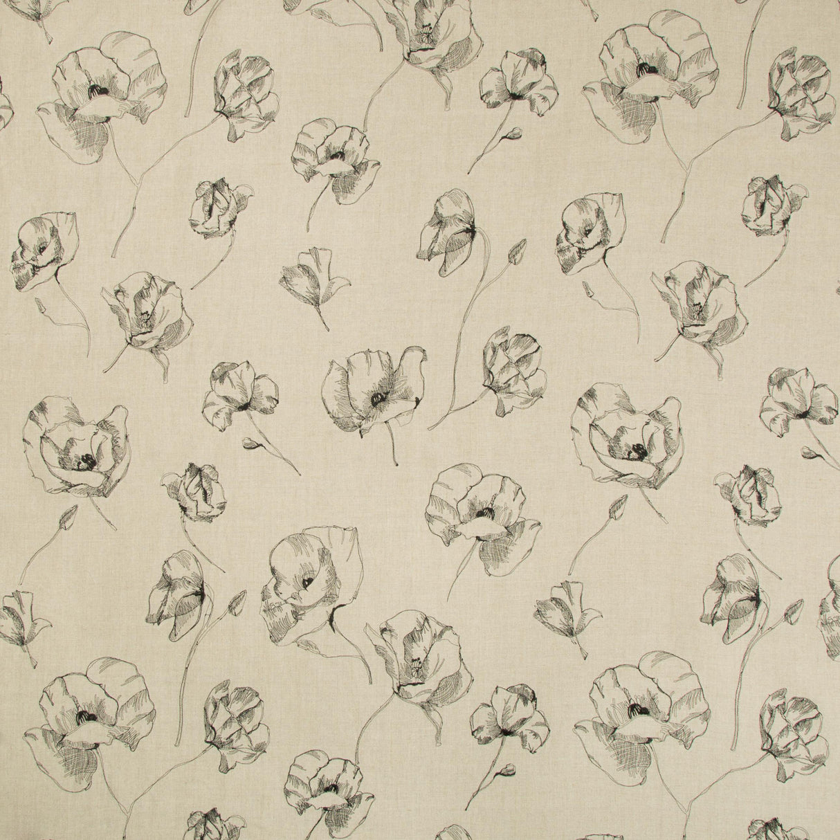 Kravet FIELD NOTES NATURAL/NOIR Drapery Fabric