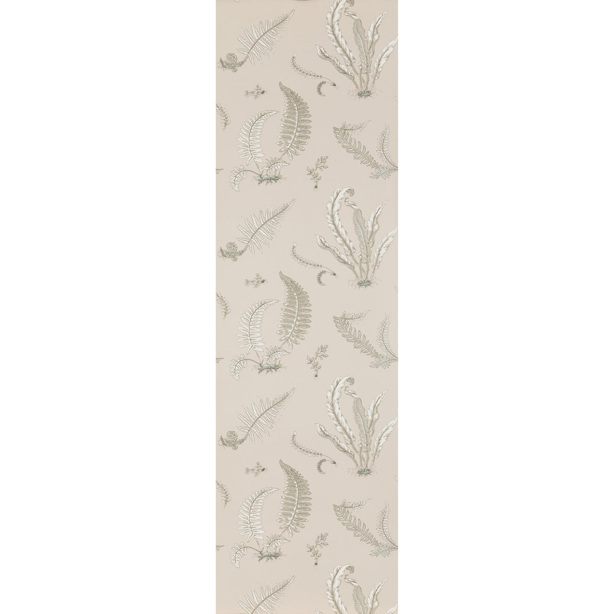 G P & J Baker FERNS LINEN Wallpaper
