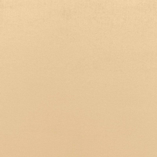 Schumacher Sophia Velvet Candlelight Fabric