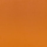 Schumacher Sophia Velvet Valencia Fabric