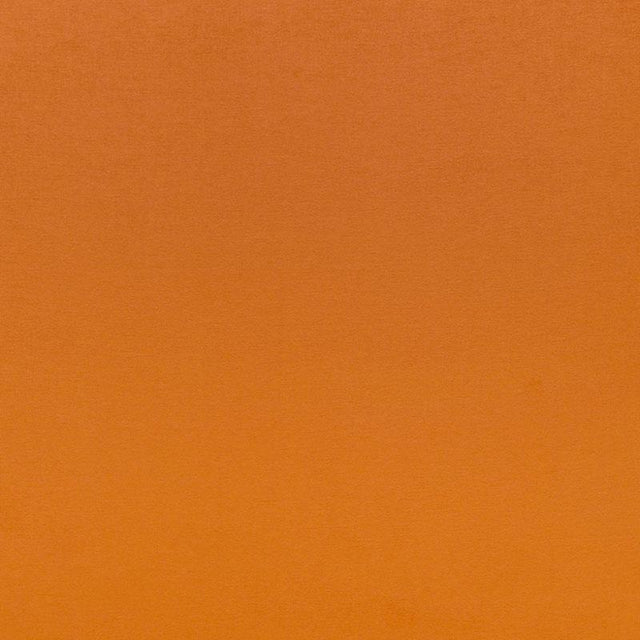 Schumacher Sophia Velvet Valencia Fabric