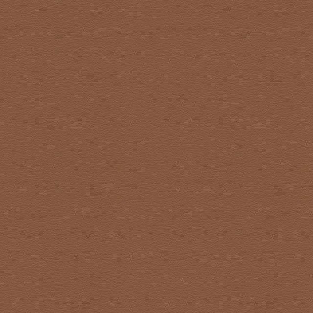 Kravet DESIGN GATO 2424 Upholstery Fabric