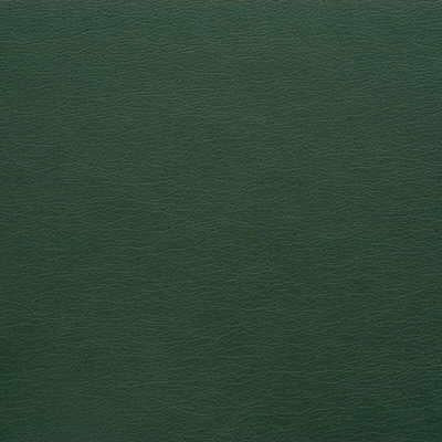 Kravet DESIGN GATO 303 Upholstery Fabric