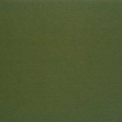 Kravet DESIGN GATO 35 Upholstery Fabric