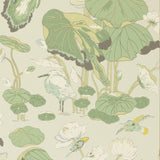 G P & J Baker NYMPHEUS BOTANICAL Wallpaper