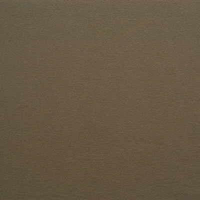 Kravet DESIGN GATO 621 Upholstery Fabric