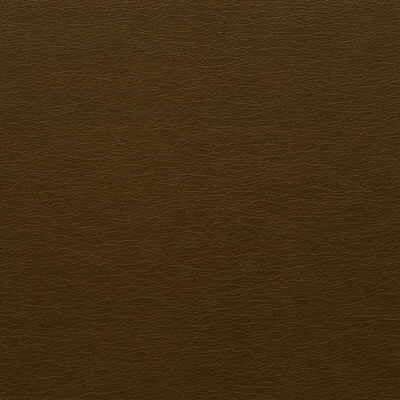 Kravet DESIGN GATO 66 Upholstery Fabric