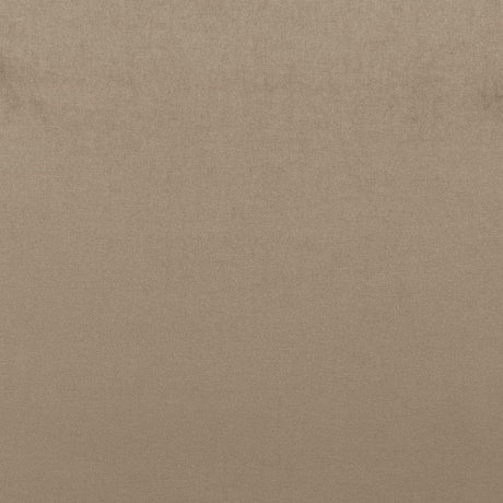 Schumacher Sophia Velvet Mushroom Fabric