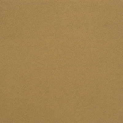 Kravet DESIGN GENSLAR 16 Upholstery Fabric