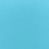 Schumacher Sophia Velvet Capri Fabric