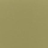 Schumacher Sophia Velvet Olivine Fabric