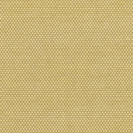 Schumacher Sorano Chenille Sage Fabric