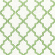 Schumacher Tangier Embroidery Grass Fabric